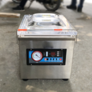 Máy hút chân không DZ-260B